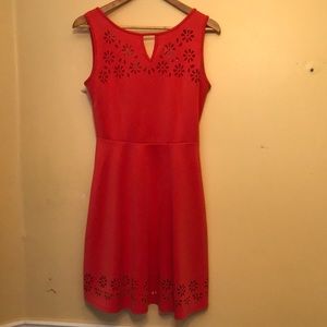 Salmon in the Springtime